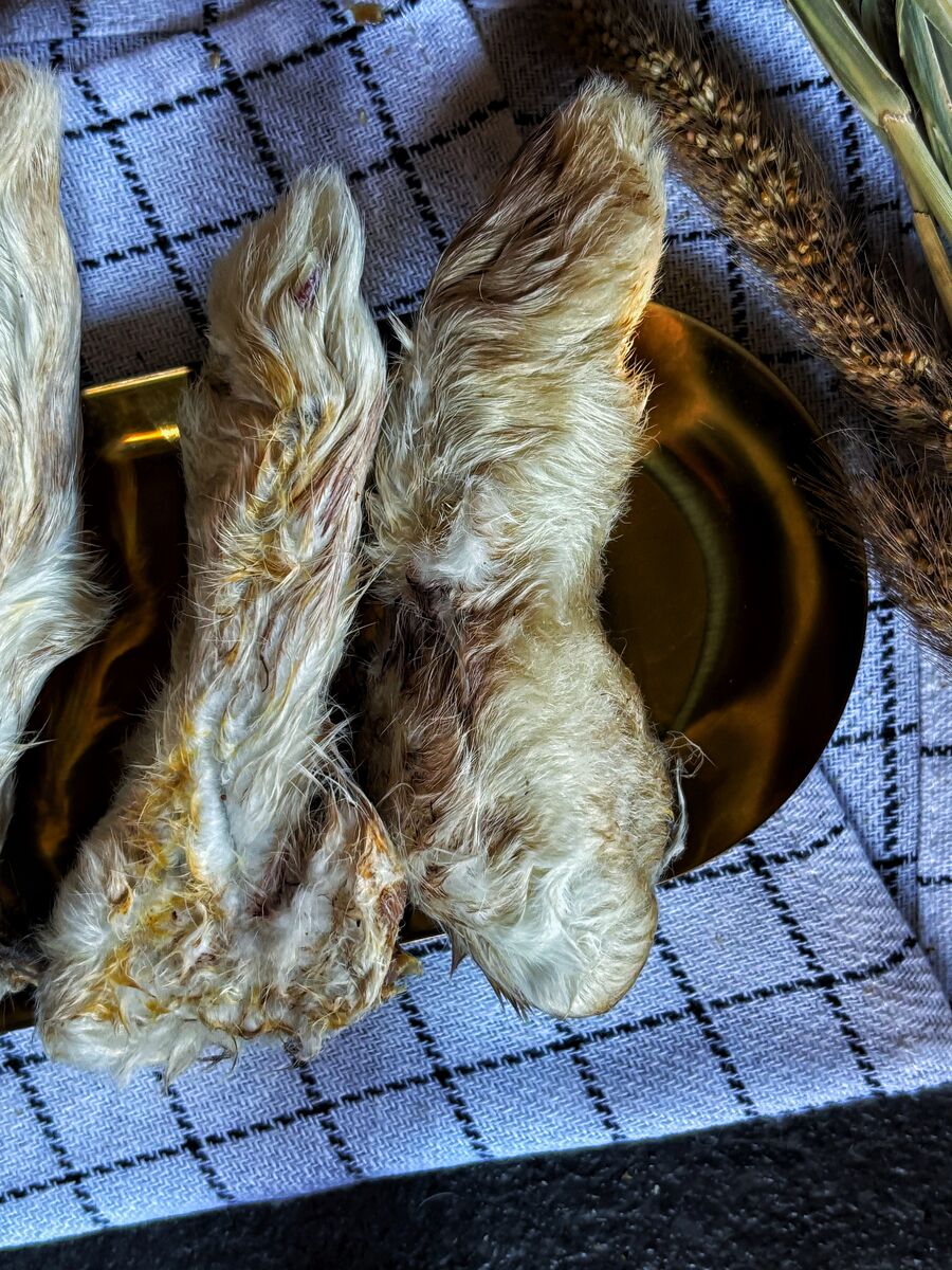 Лапки кролика