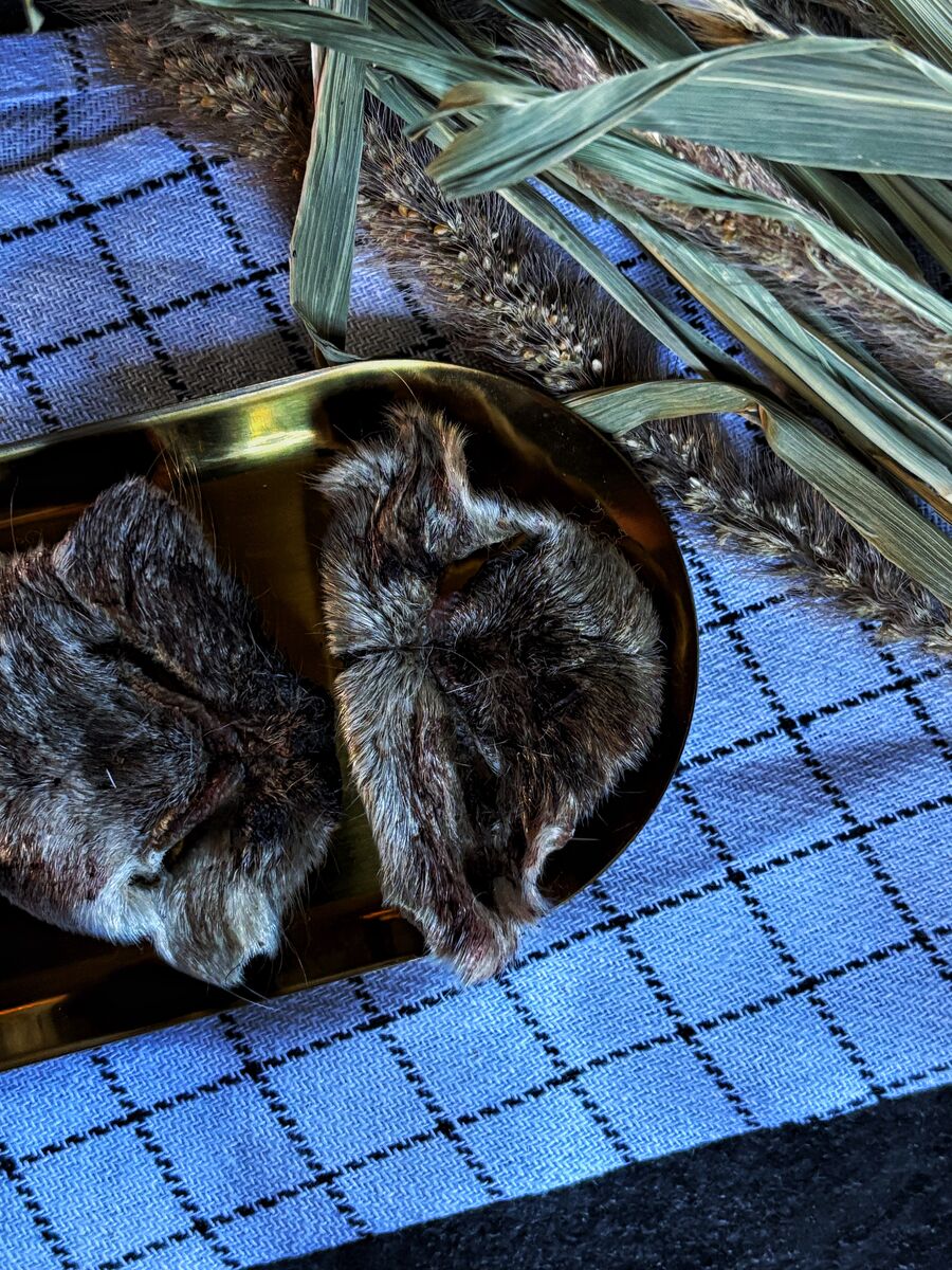 Носики бараньи